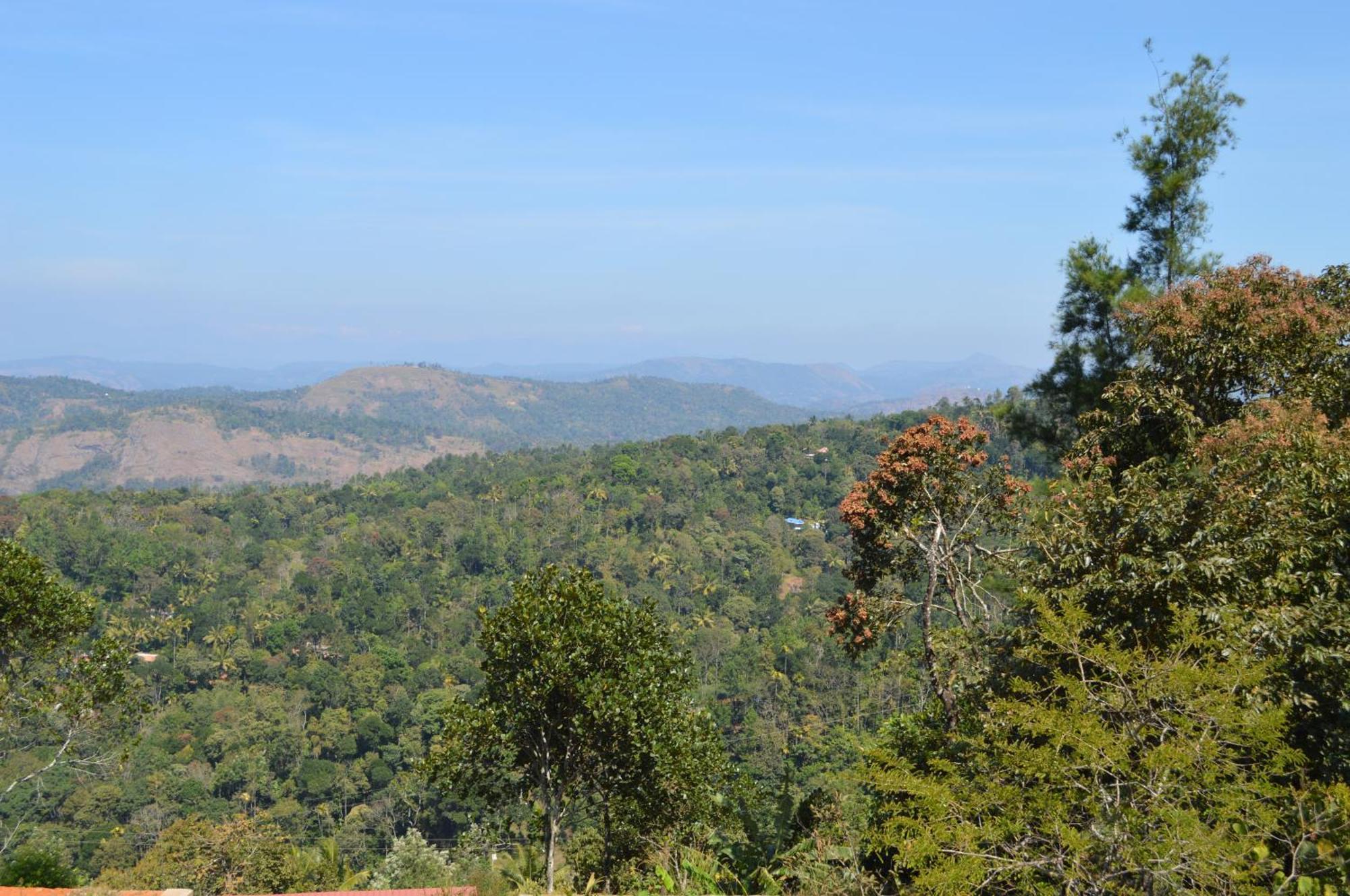 Ashramam Health Resort Kattappana Esterno foto