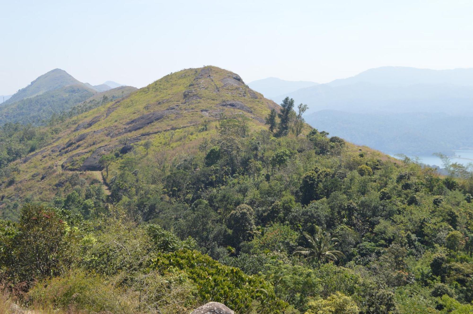 Ashramam Health Resort Kattappana Esterno foto